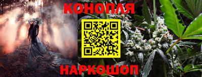 спайс Гатчина