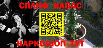 мяу мяу кристалл Гай